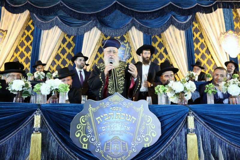 יעקב כהן