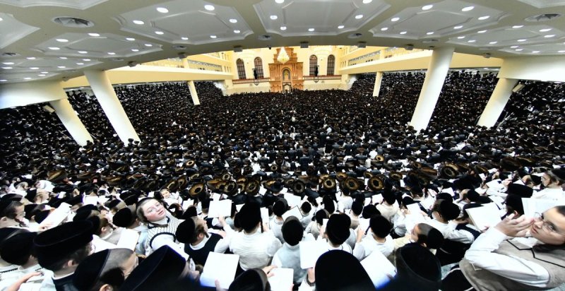 שוקי לרר