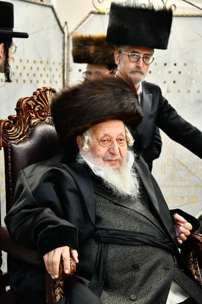 שוקי לרר