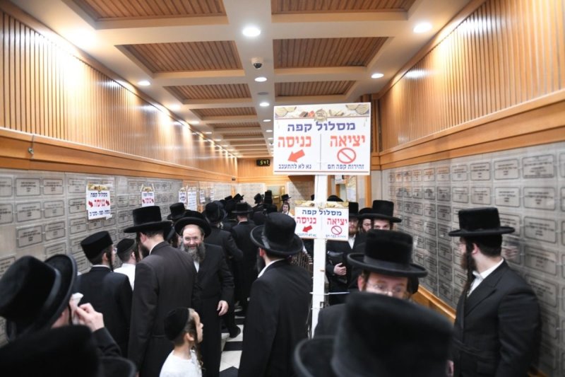 אנשיל בעק