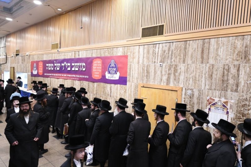 אנשיל בעק