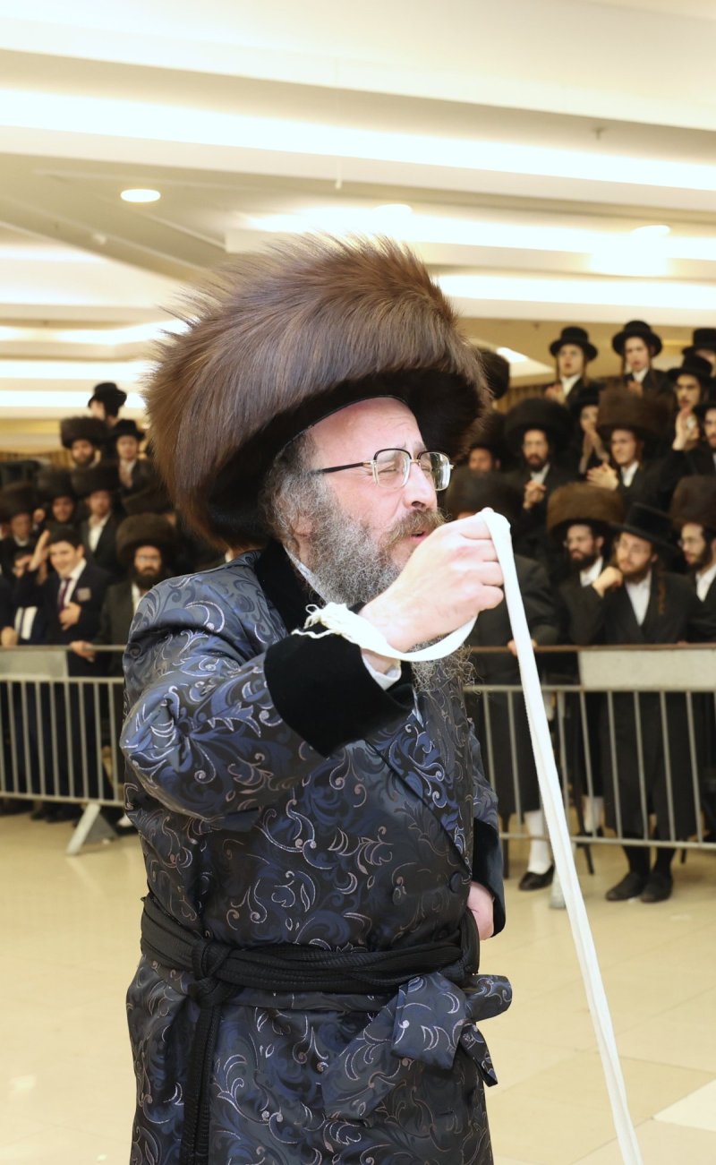 דוד ארזני