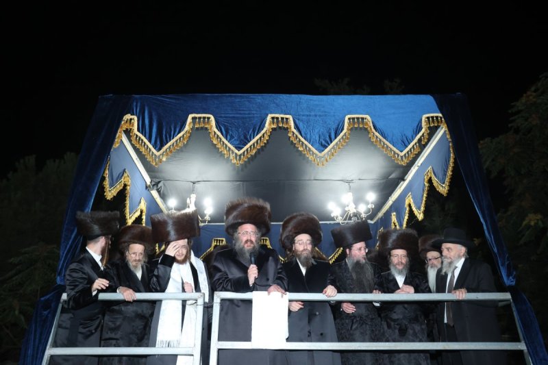 דוד ארזני