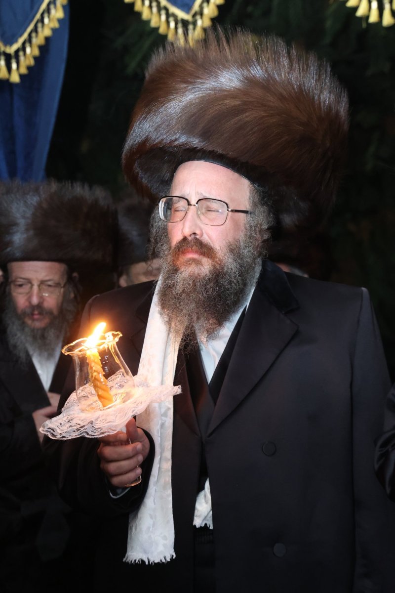 דוד ארזני