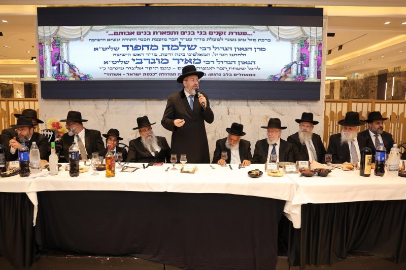נועם אליהו