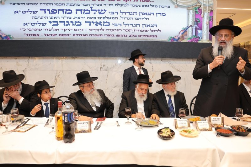 נועם אליהו