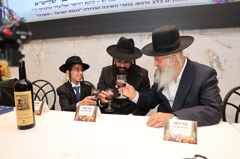 נועם אליהו