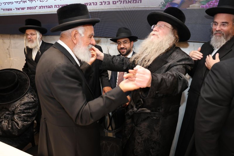 נועם אליהו