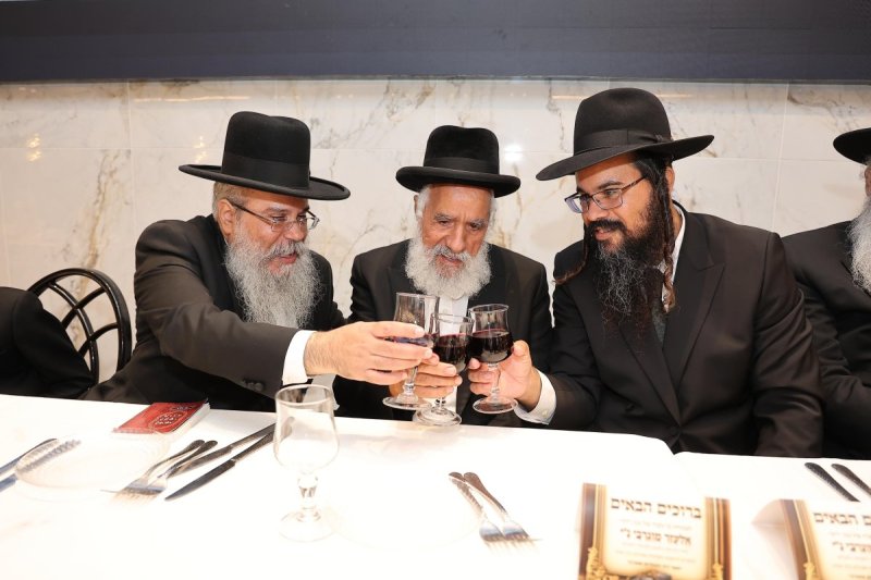 נועם אליהו