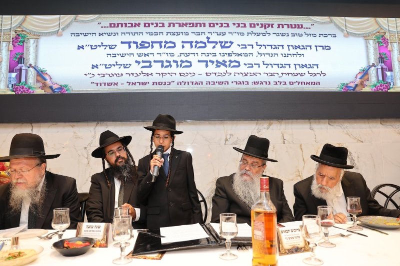 נועם אליהו