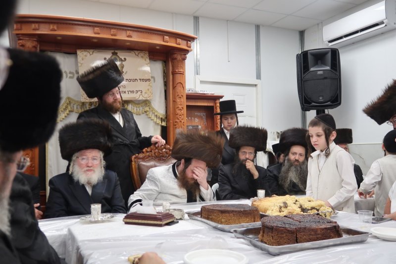 י. פריד