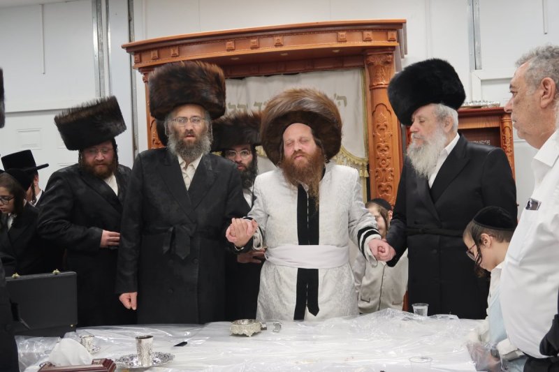 י. פריד