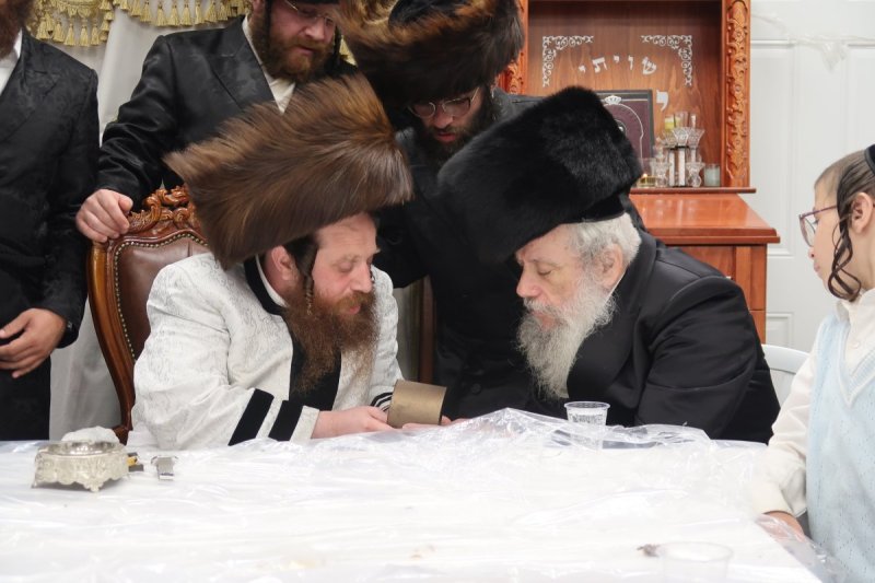 י. פריד