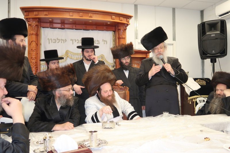י. פריד