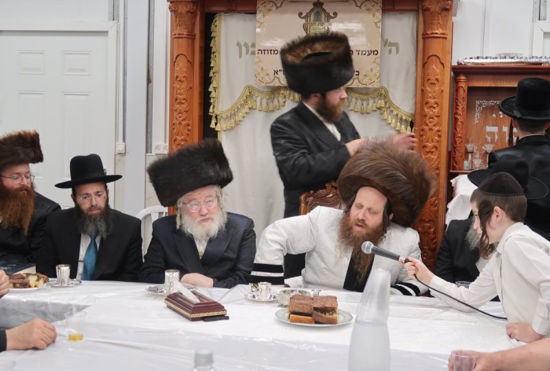י. פריד