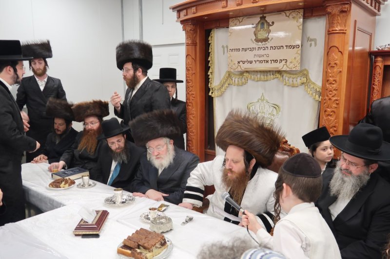י. פריד