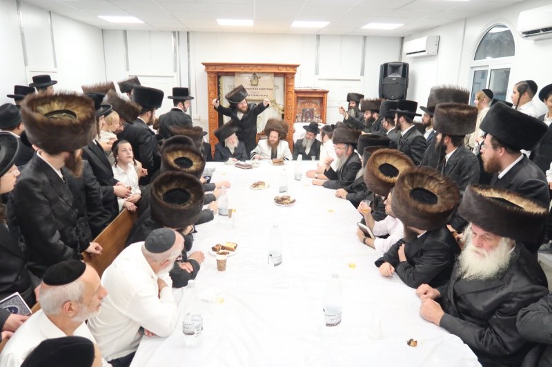 י. פריד