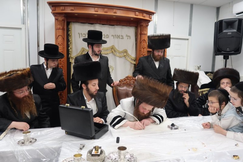 י. פריד