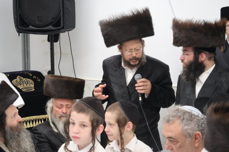 י. פריד