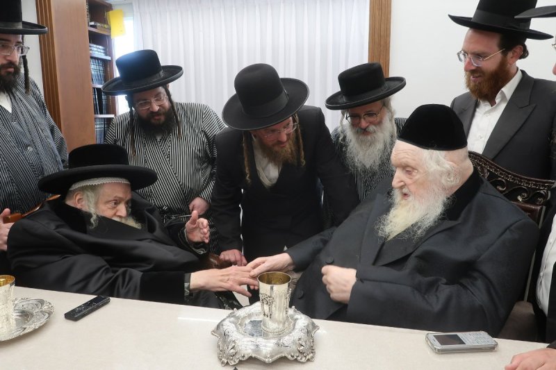 רפא שוורץ