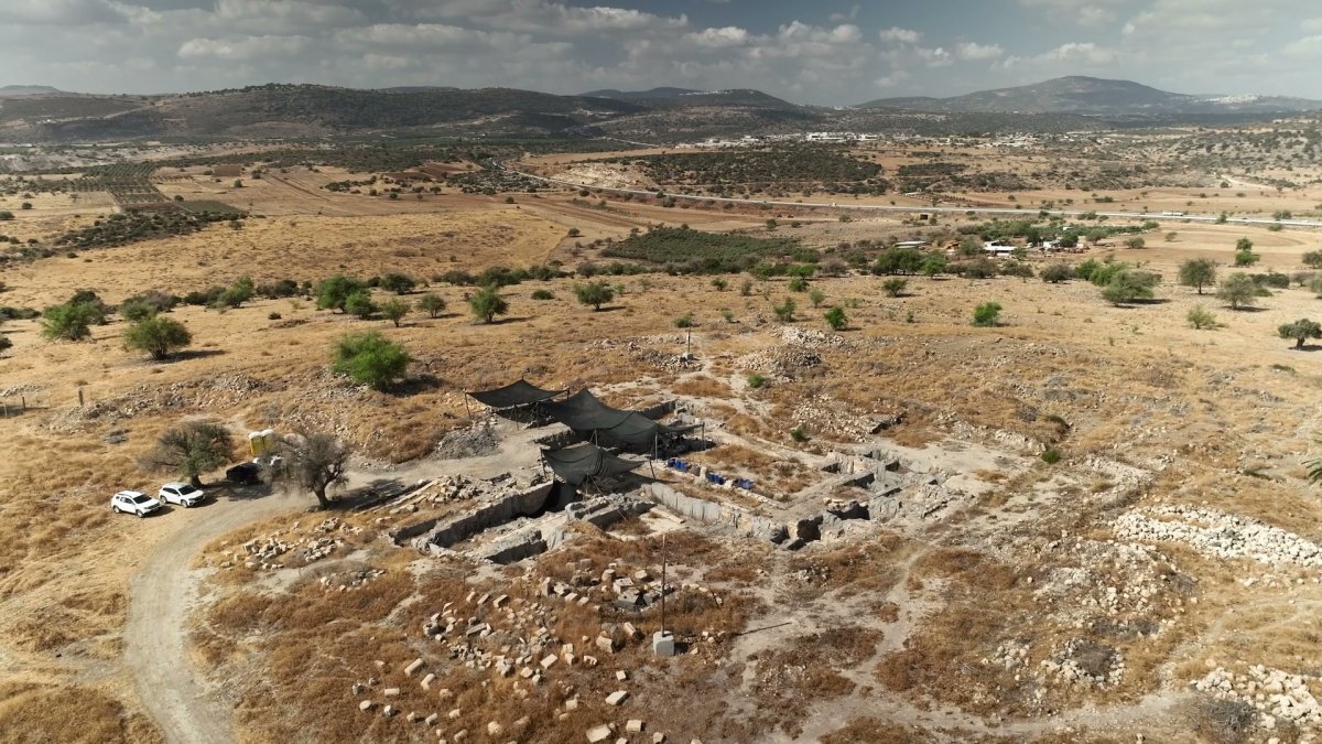אמיל אלג'ם רשות העתיקות