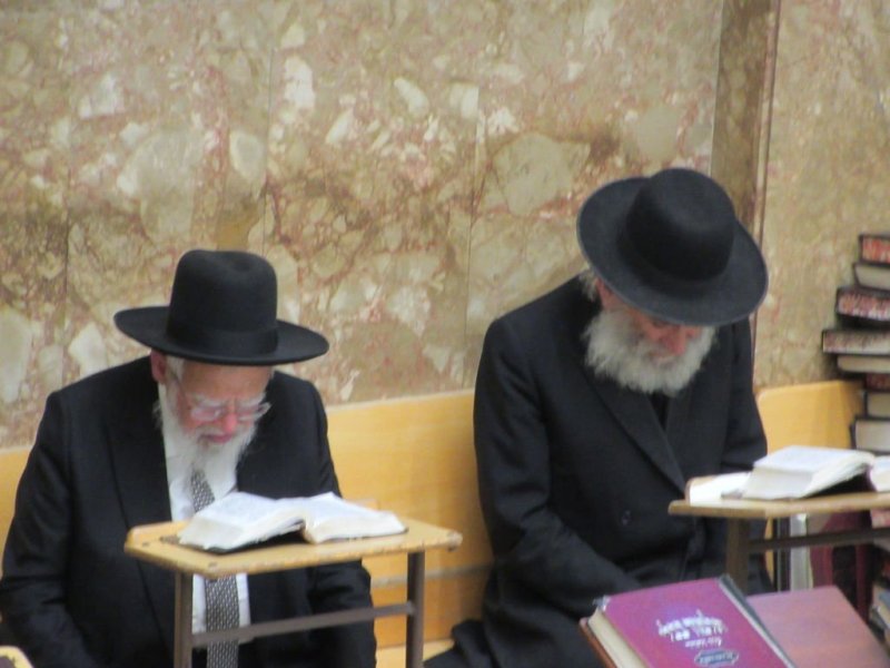 נתי פרל