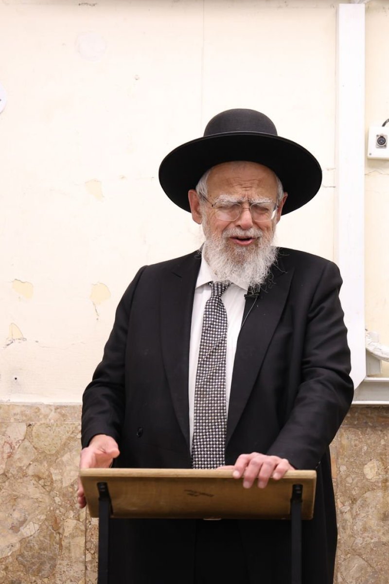 נתי פרל