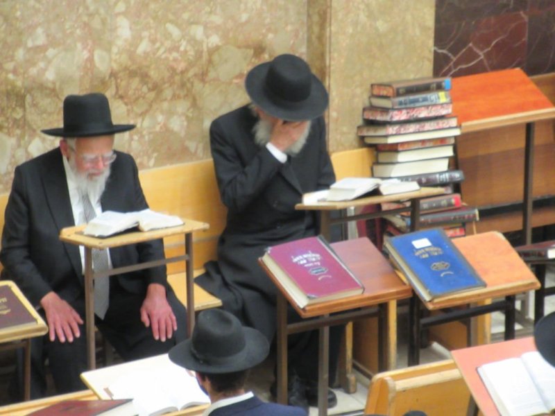 נתי פרל