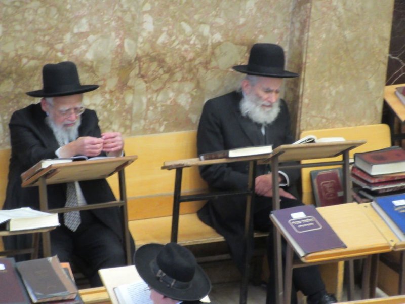 נתי פרל