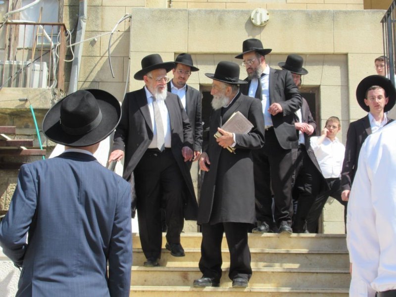 נתי פרל