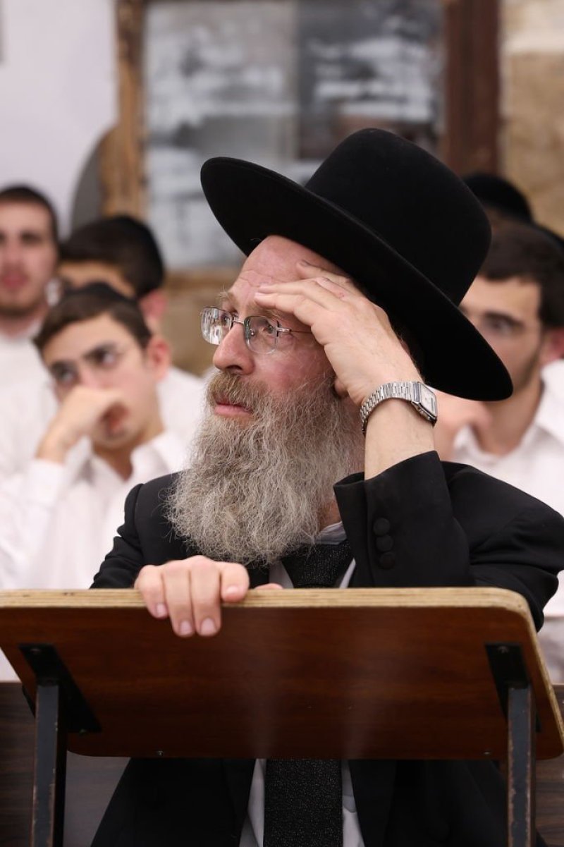 נתי פרל