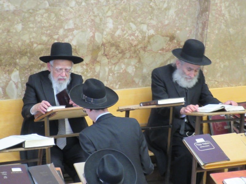 נתי פרל
