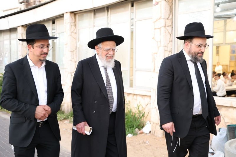 נתי פרל
