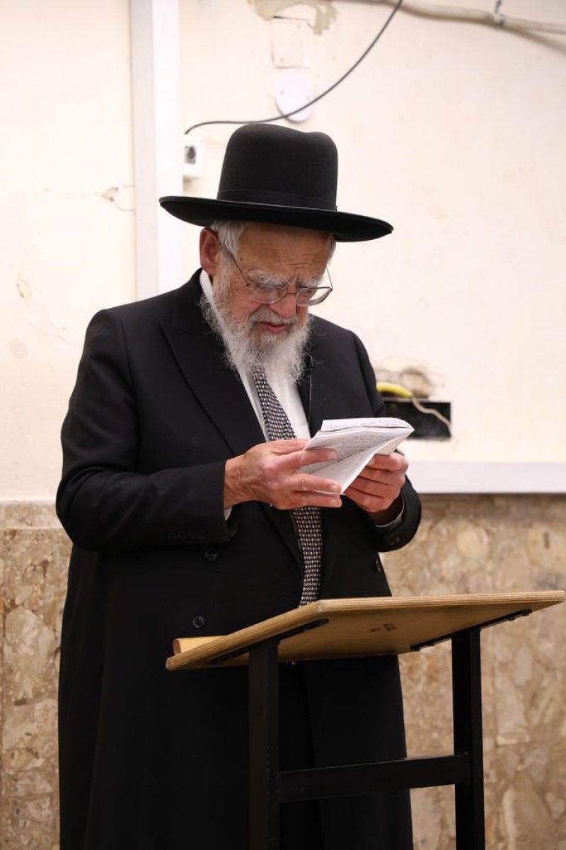 נתי פרל