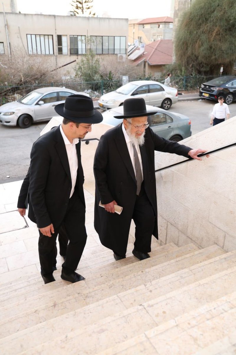נתי פרל