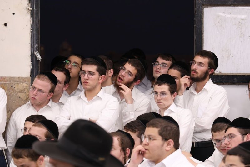נתי פרל