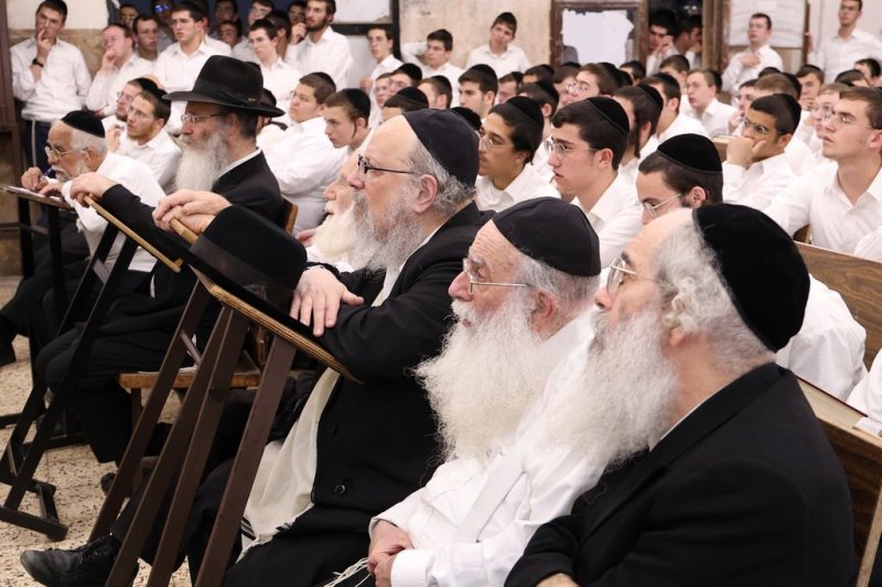 נתי פרל