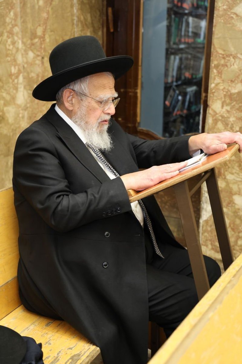 נתי פרל