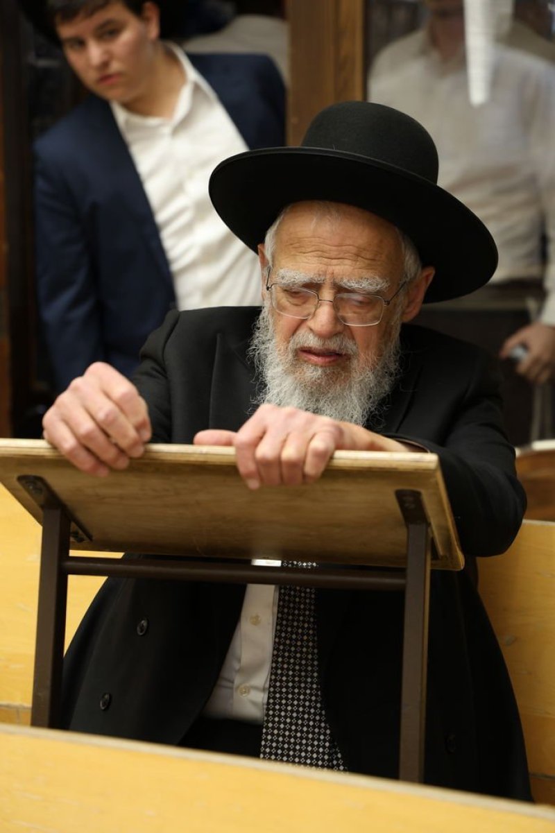 נתי פרל