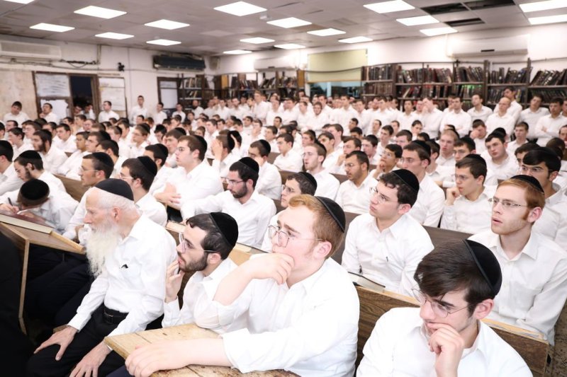 נתי פרל
