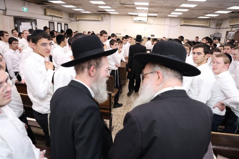 נתי פרל