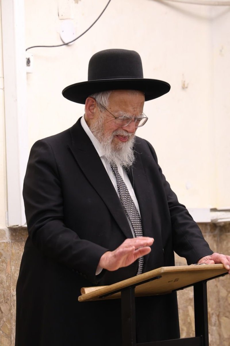 נתי פרל