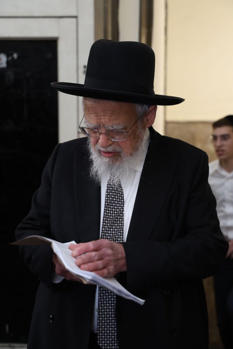 נתי פרל
