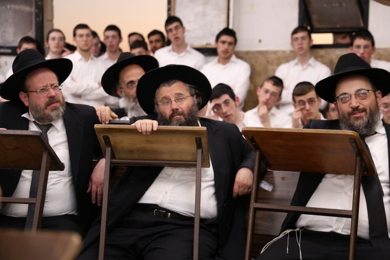 נתי פרל