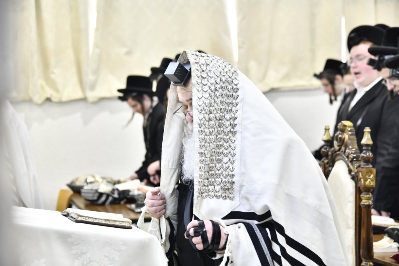 שוקי לרר