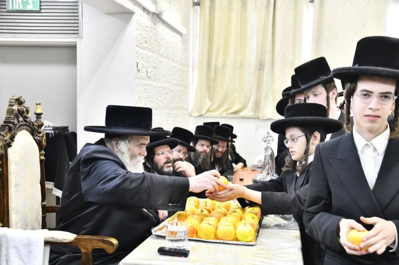 שוקי לרר