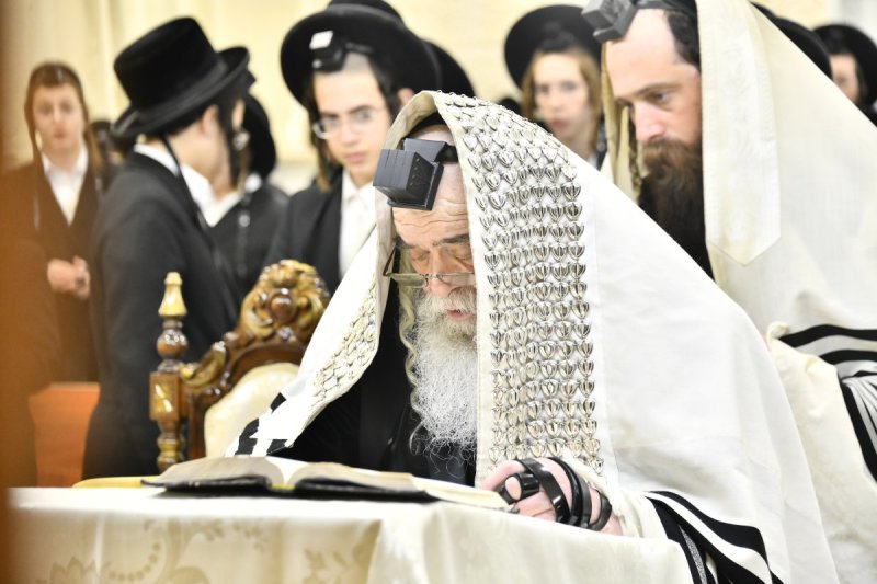 שוקי לרר
