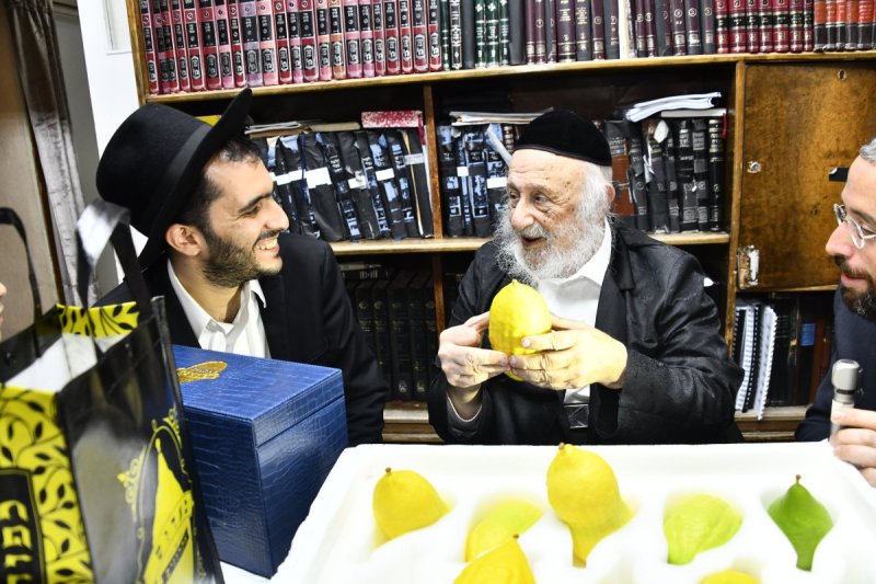 שוקי לרר