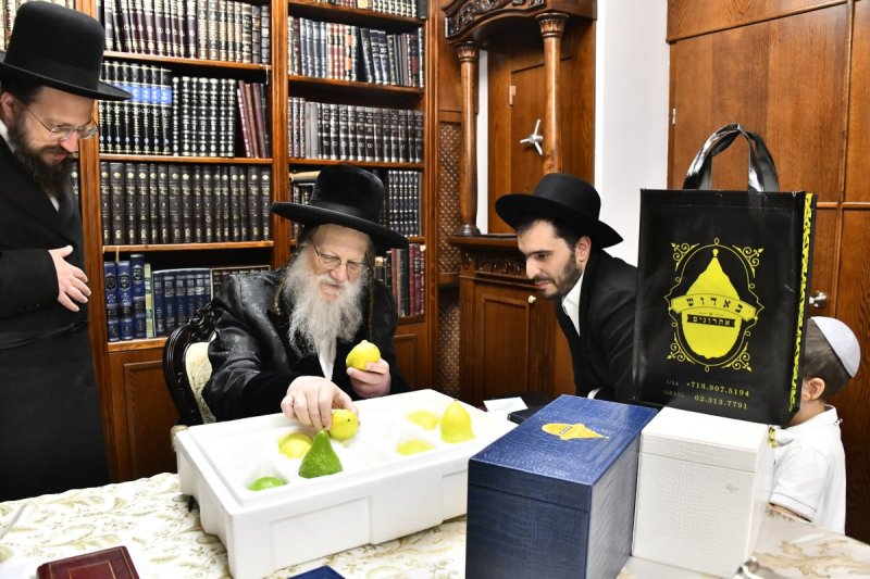 שוקי לרר