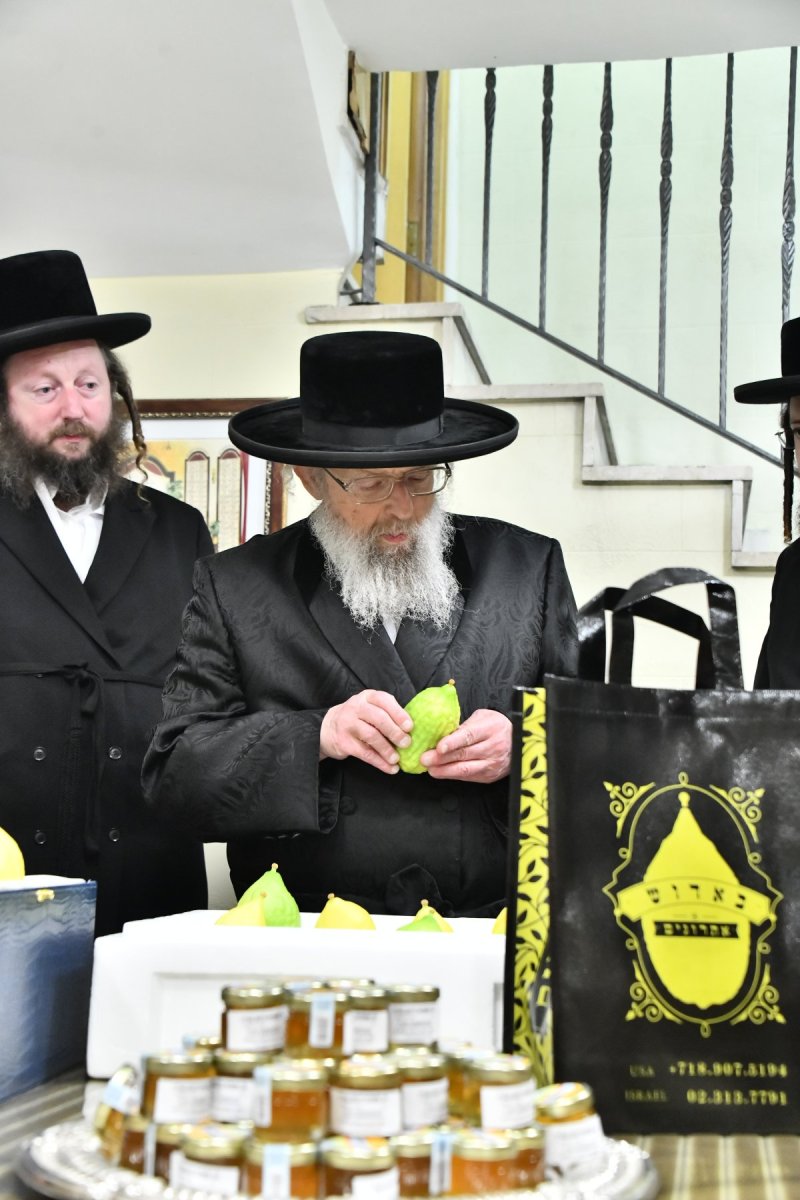 שוקי לרר